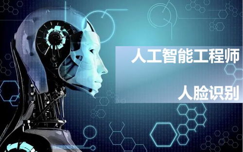 职业体验 云游一夏，探索人工智能应用软件开发的无限魅力