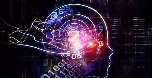 人工智能应用软件开发 当科技浪潮遇上舆论漩涡，贾跃亭现象引发的行业思考